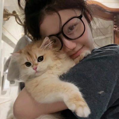 少年四大名捕粤语